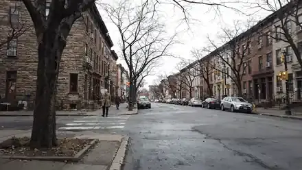A quiet downtown street of older brick buildings on an overcast morning with bare trees moving in the wind
